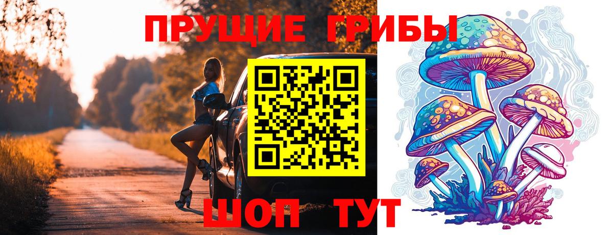 Псилоцибиновые грибы мухоморы Солнечногорск